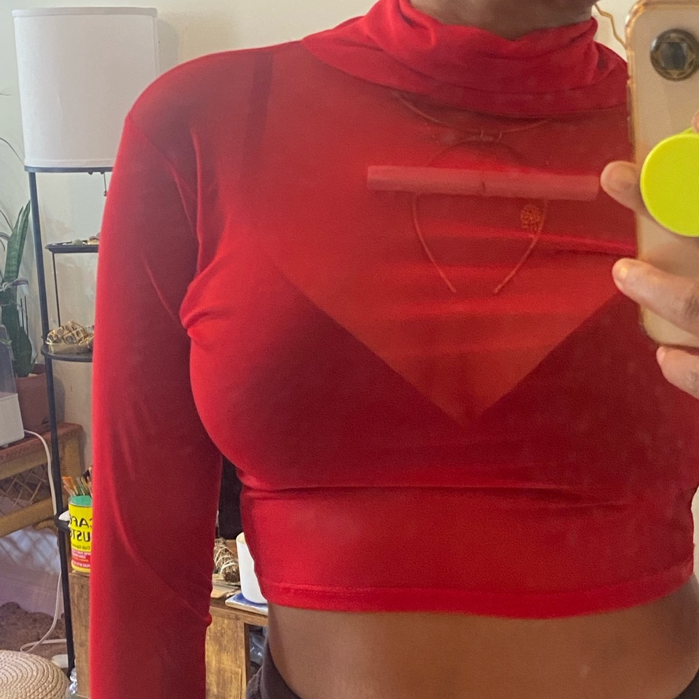 Laina Rauma Micro Mesh Sheer Turtleneck - Size Small